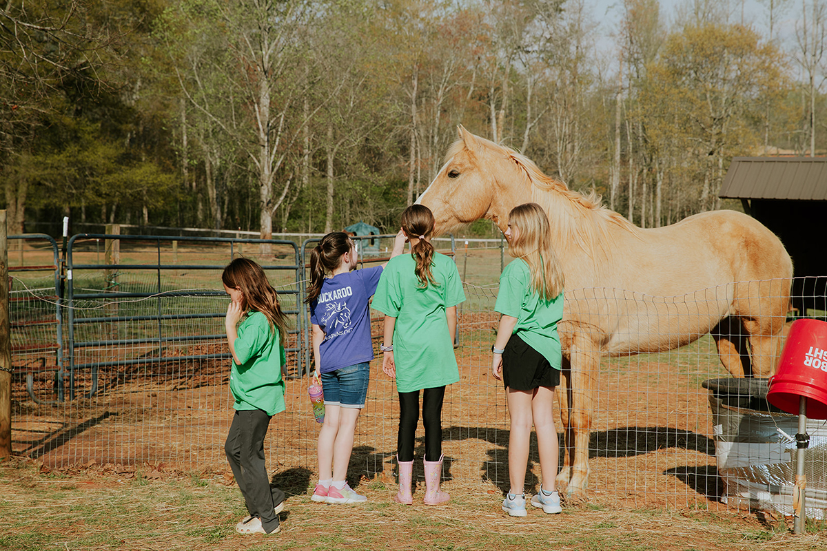 Hope Remains Ranch Marketing Photos